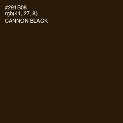 #291B08 - Cannon Black Color Image